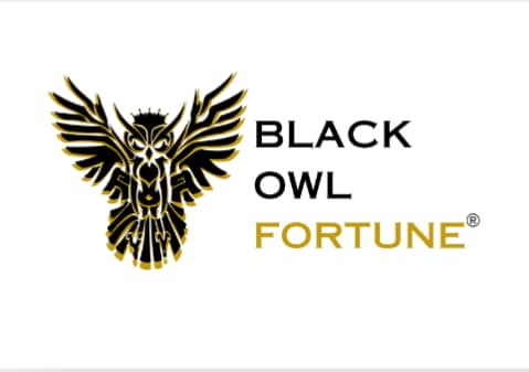 BlackOwlFortune logo